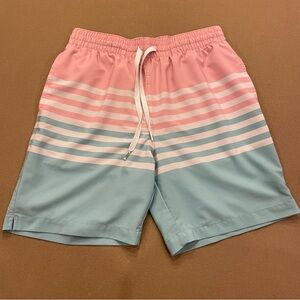 Chubbies The On The Horizons Mesh Brief Lined Swim Trunks Size Small